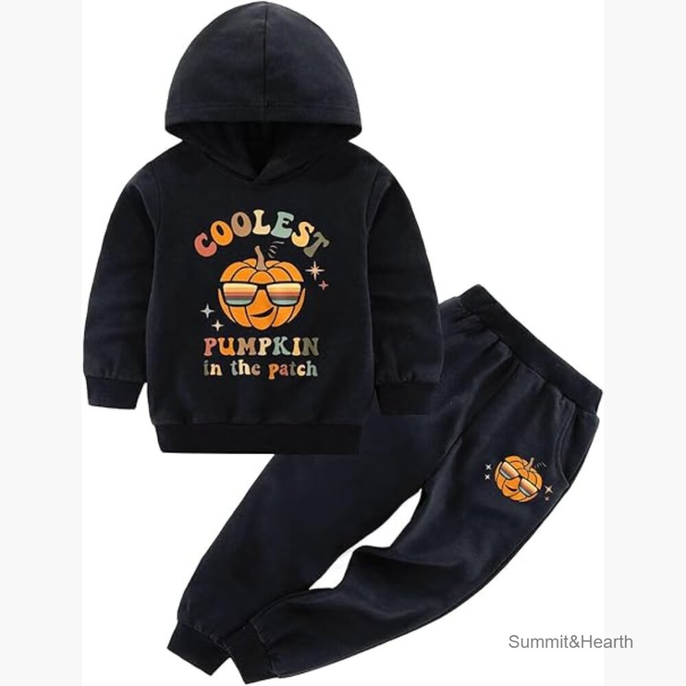Toddler Boys 2-Piece Sweatsuit Set Long Sleeve Hoodie Pants Winter Outfit